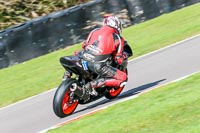 Oulton-Park-20th-March-2020;PJ-Motorsport-Photography-2020;anglesey;brands-hatch;cadwell-park;croft;donington-park;enduro-digital-images;event-digital-images;eventdigitalimages;mallory;no-limits;oulton-park;peter-wileman-photography;racing-digital-images;silverstone;snetterton;trackday-digital-images;trackday-photos;vmcc-banbury-run;welsh-2-day-enduro